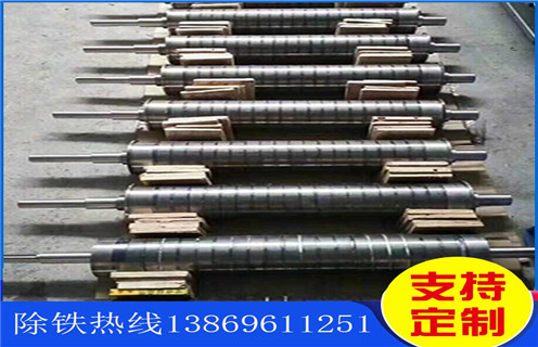 浙江永磁辊式HUANQIU.COM环球体育(中国大陆)科技公司