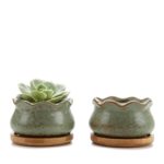 Rachel&#8217;s choice 3&#8243;Spring Serial NO.4 Flower Shape Sucuulent Cactus Plant Pots Flower Pots Planters Containers Window Boxes With Bamboo Tray Green Set of 2