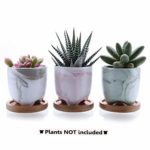 T4U 2.25&#8243;Ice Cream Serial Modern Sucuulent Cactus Plant Pots Flower Pots Planters Containers Window Boxes Full Colors with Bamboo Trays