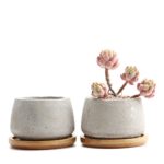 T4U 2.5 Inch Cement Serial Small Round Sucuulent Cactus Plant Pots Flower Pots Planters Containers Window Boxes With Bamboo Tray Grey &#8211; Pack of 2